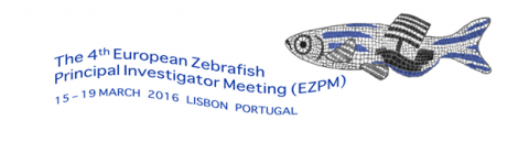 Jeannette Mart&iacute;nez-Val and Pedro Fern&aacute;ndez have participated in The 4th European Zebrafish Principal Investigators Meeting (EZPM)